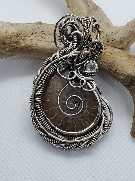 Ammonite half