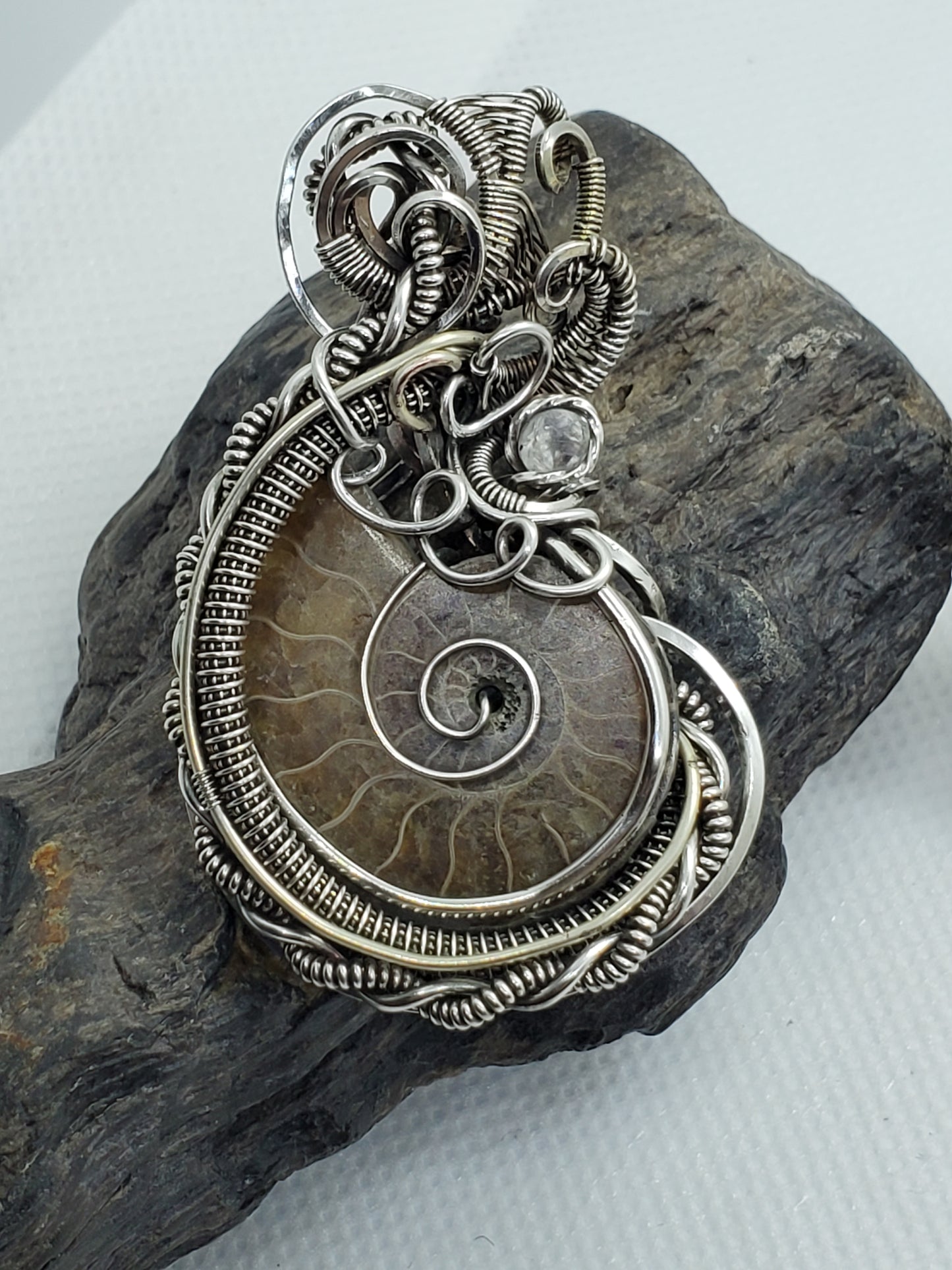Ammonite half