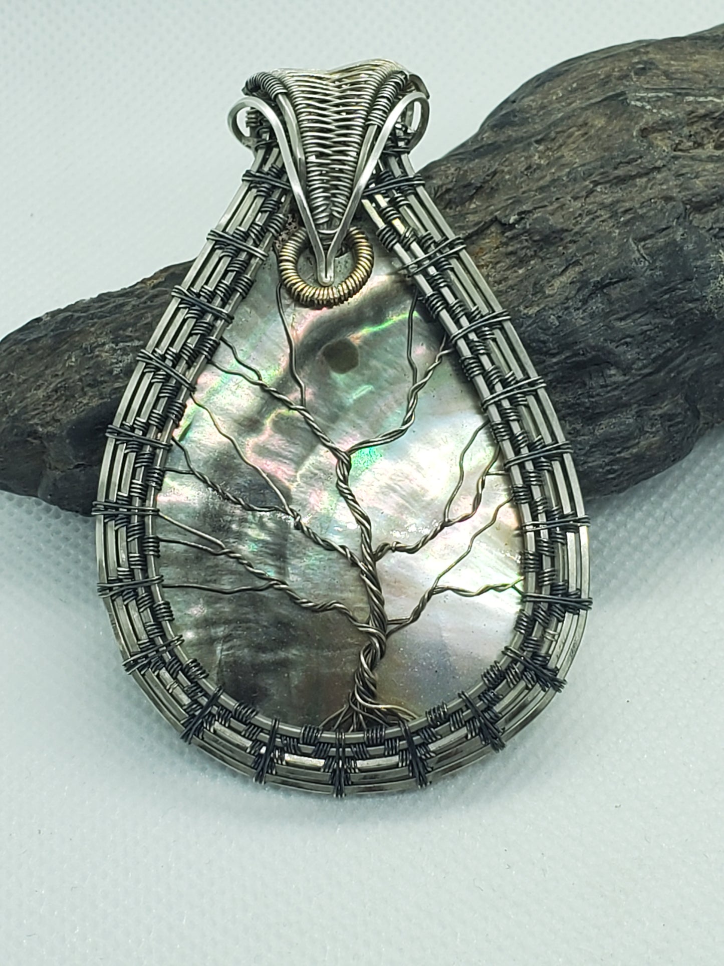 Clam shell TOL (tree of life)