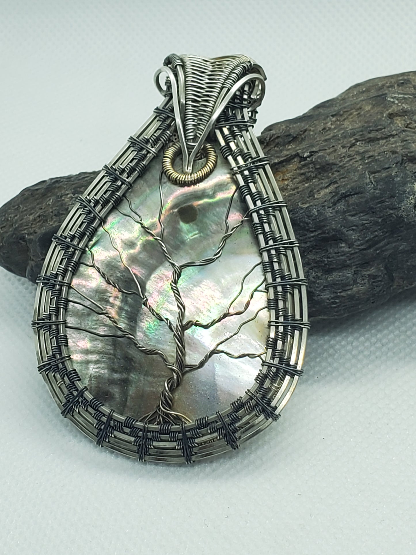 Clam shell TOL (tree of life)