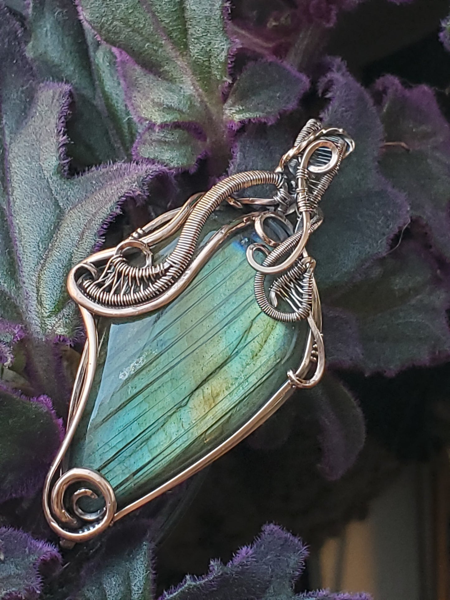 Aurora Vines
